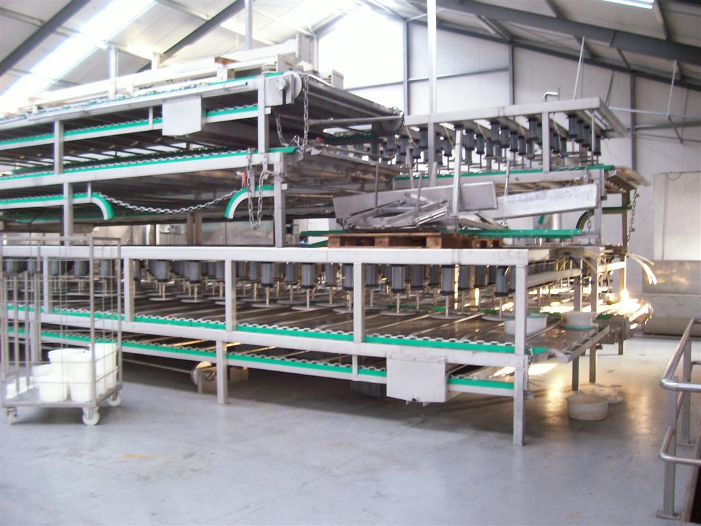 Category Image 1